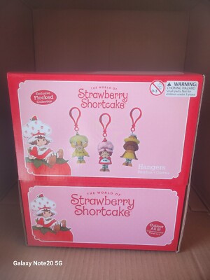 CASE OF 24 PIECES STRAWBERRY SHORTCAKE MYSTERY FIGURE FLOCKED EXCLUSIVE BOX-image