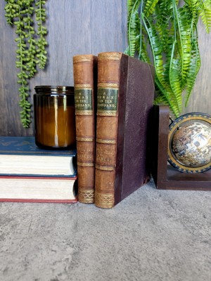 A Woman in Ten Thousand in Three Volumes by Ferrol Vance - Volumes 1 and 3 1893-image