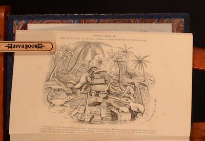 1890 Curiosities Natural History First Series Buckland St Oswald's Ellesmere Col-image