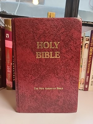 Holy Bible  School And Church Edition  -image
