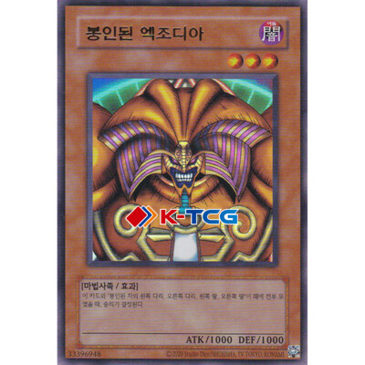 Yugioh Card 