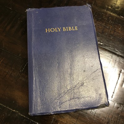 Holy Bible - Dictionary - Dictionary Concordance - KJV Well Loved With Writing-image