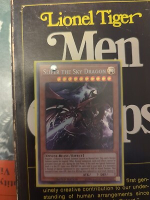 Slider The Sky Dragon -image