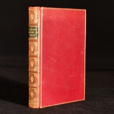 1902 A Familiar History of Birds Edward Stanley New Impression Illustrated Le...-image