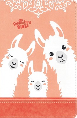 Lawrence O. Ric NIrV, Adventure Bible for Early Read (Leather Bound) (UK IMPORT)-image