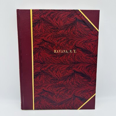 Early History & The Village of Havana New York Book NY Leather Bound Vintage HC-image
