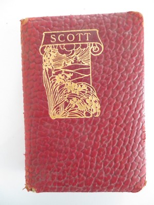 Poems of Sir Walter Scott 1894 leather bound looks like Alligator-image