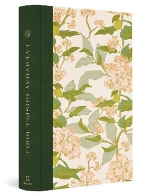 Paul David Tripp ESV Everyday Gospel Bible, Artist Series (Leather Bound)-image