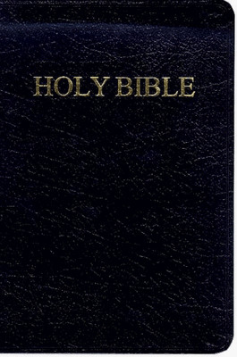 THE NEW AMERICAN BIBLE: CATHOLIC COMPANION EDITION *Excellent Condition*-image