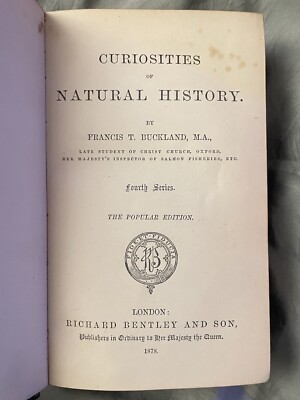 Curiosities of Natural History 4th Series The Popular Ed: Francis Buckland, 1878-image