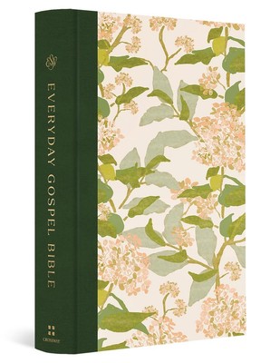 ESV Everyday Gospel Bible, Artist Series: Connecting Scripture to All of Life (C-image