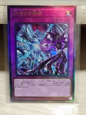 Destined Rivals PGB1-JP010 Ultimate Rare Yugioh Japanese-image