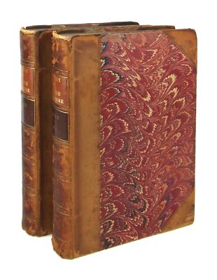 H.A. Taine  / History of English Literature in Two Volumes / New Edition ca 1880-image