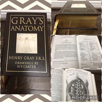 Gray's Anatomy Henry Gray F.R.S. Drawings By H.V. Carter Gold Gilt Leather Bound-image